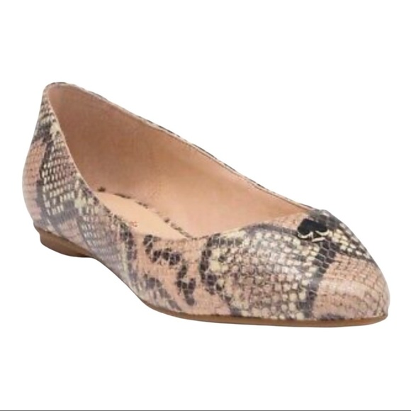 Kate Spade Nylah‎ Snakeskin Pointed Toe Leather Flat Size 6.5 Women - Picture 1 of 13